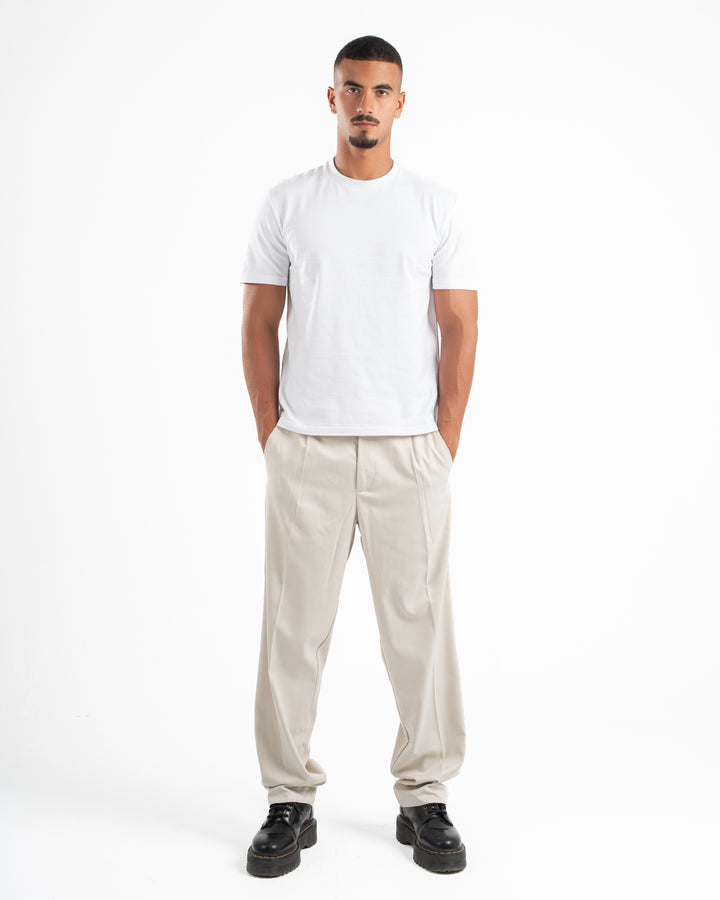 Classic Pleated Pants in Beige